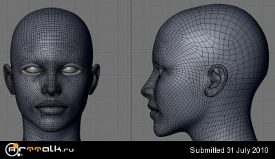 mesh1.JPG